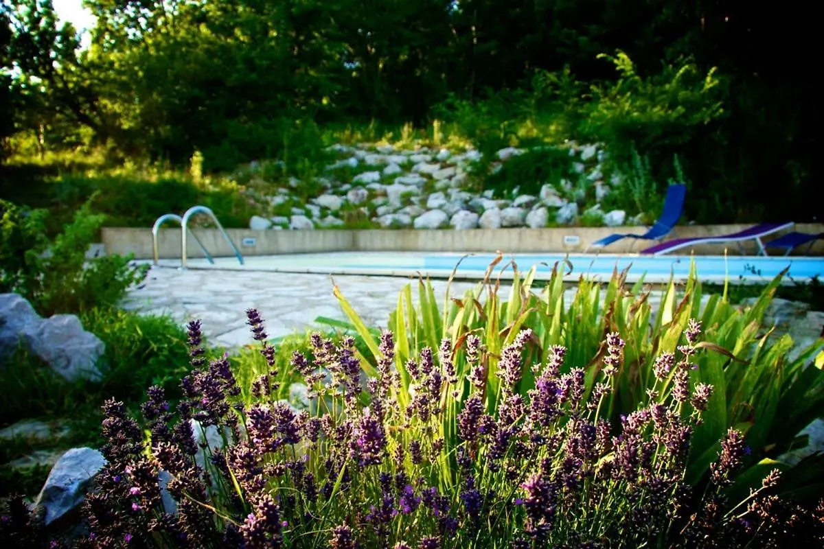 Abeona Mediterranean Villa Drivenik 0*,  Κροατία