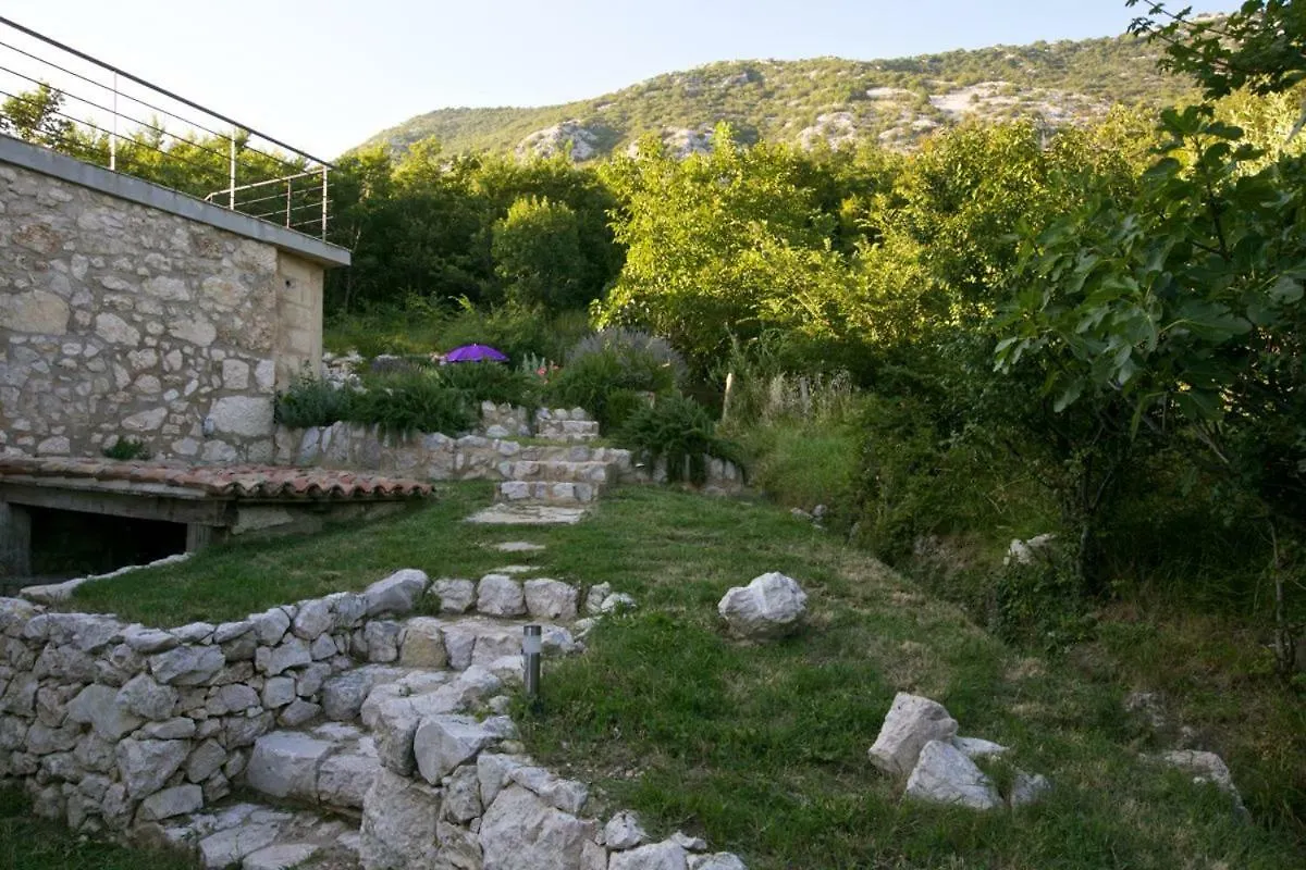 Abeona Mediterranean Villa Drivenik